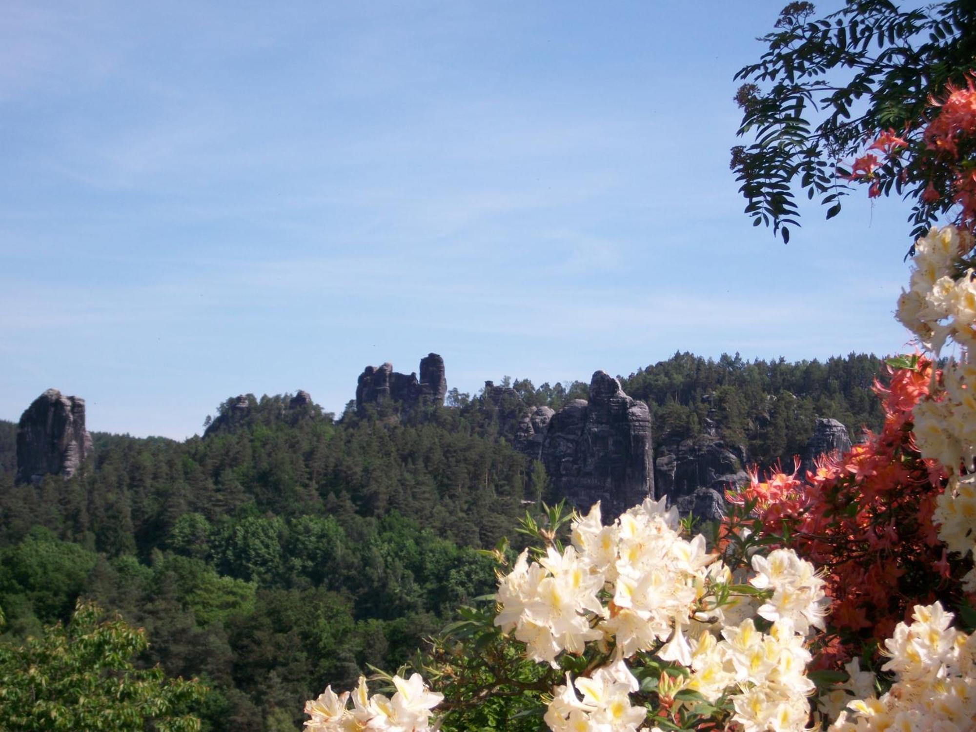 Ferienwohnung Zum Lilienstein Bad Schandau Dış mekan fotoğraf