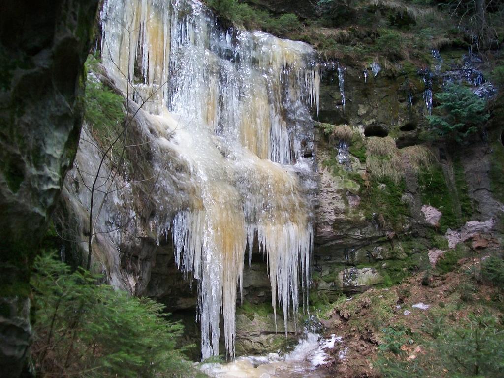 Ferienwohnung Zum Lilienstein Bad Schandau Dış mekan fotoğraf