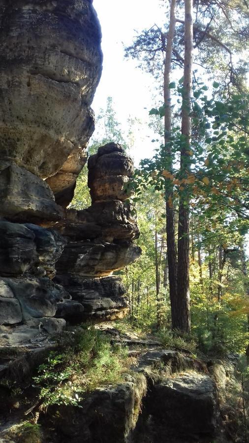 Ferienwohnung Zum Lilienstein Bad Schandau Dış mekan fotoğraf